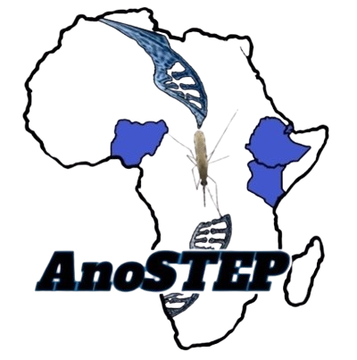 AnoSTEP Logo